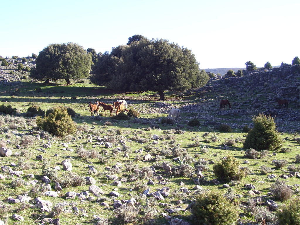 Agriturismo Didone Dorgali Luaran gambar