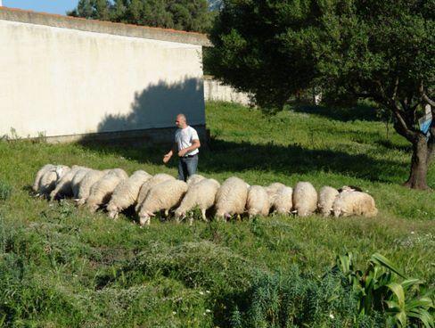 Agriturismo Didone Dorgali Luaran gambar